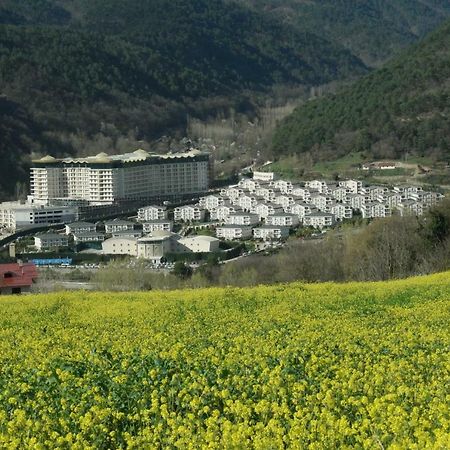 Sarot Thermal Vadi Tatil Koyu - Halal Hotel Bolu Ngoại thất bức ảnh